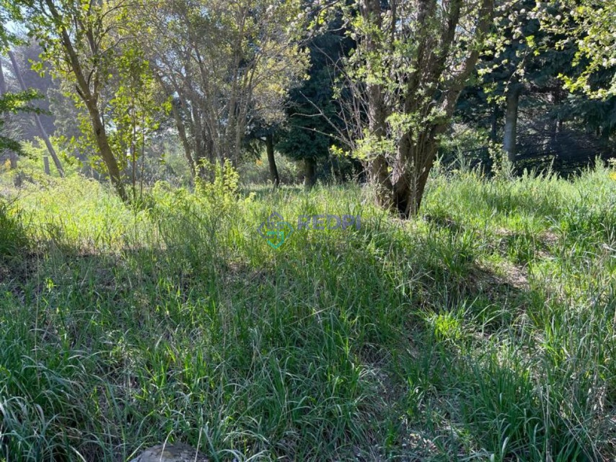 Lote plano en Peninsula San Pedro, Bariloche