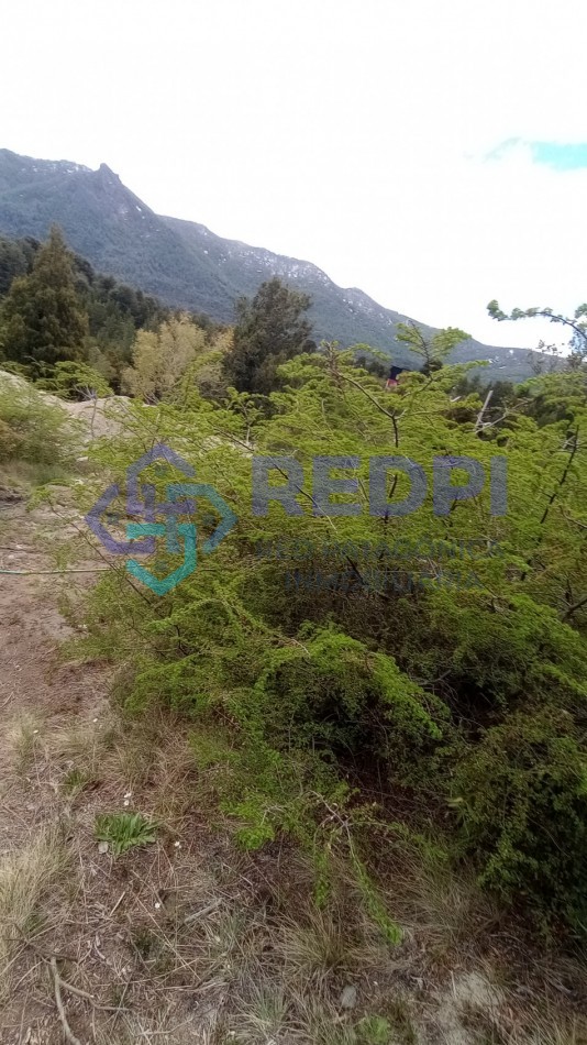 Lote con vista