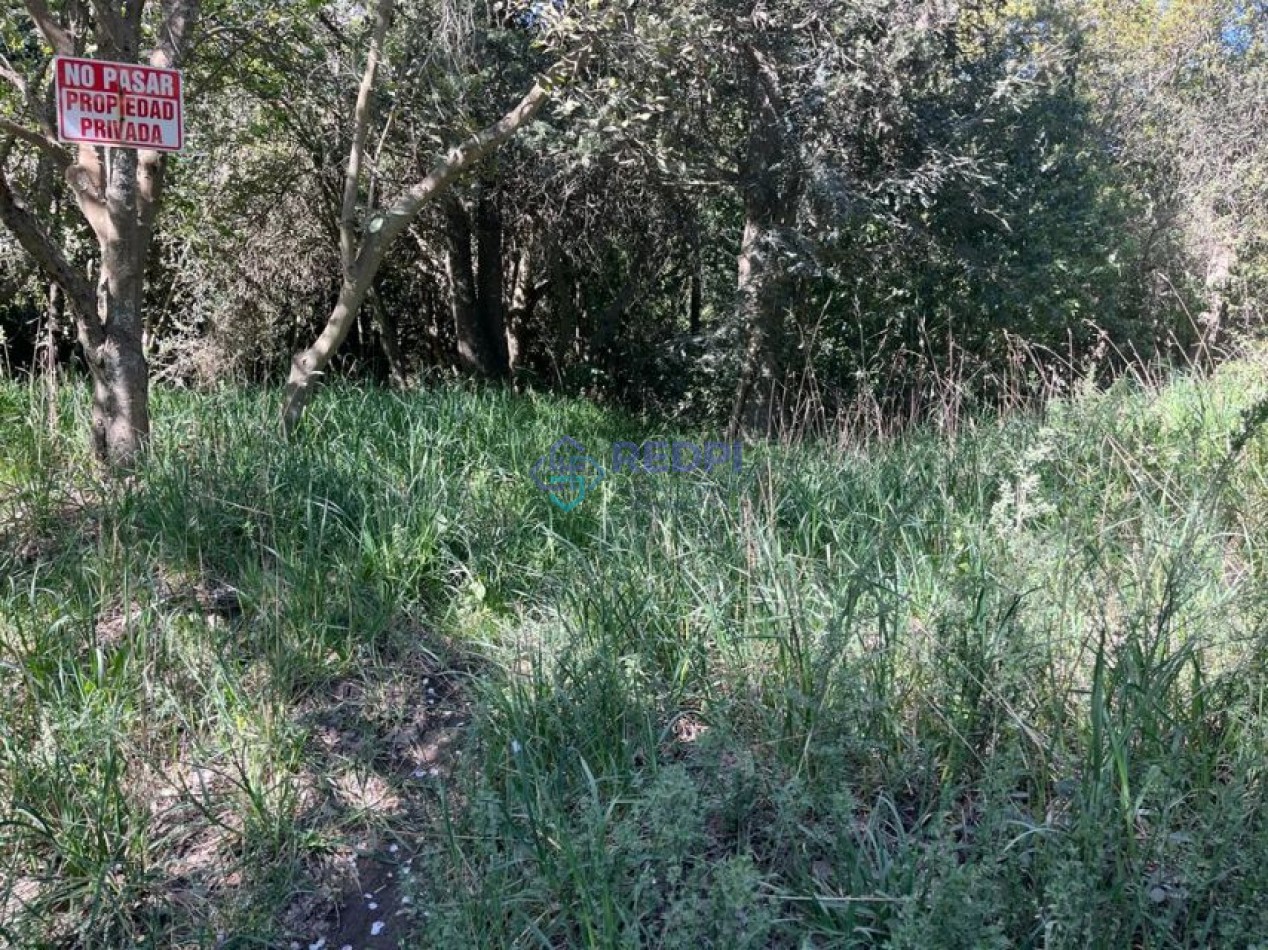 Lote plano en Peninsula San Pedro, Bariloche